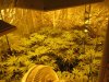 TGA Grow 2012 002.jpg