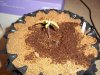 small plant 001.jpg