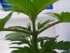 20120429_103434.jpg