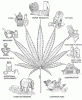 The uses of hemp.gif