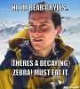 bear-grylls-meme-generator-hi-im-bear-grylls-theres-a-decaying-zebra-must-eat-it-20345d.jpg