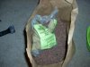 grow pics 003.jpg