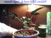 MCPhoto_20120518_224514.png