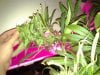20120519_133734.jpg