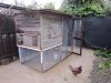 3-31-2012 Chickens 014.jpg