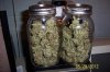 100_1482_blaze_jars_2.JPG