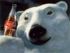 The-Coke-Polar-Bear-coke-57341_1024_774.jpg