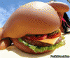 733_bikini-burger.gif
