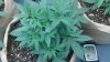 2012-06-22_15-58-44_381.jpg