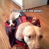 sub woofers.jpg