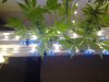 2012-07-05 08.47.14.jpg