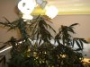DSCN2628.jpg