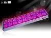 No.18 Apollo LED grow light006.jpg