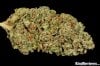 Kosher-Kush_The-Clinic-on-Holly_Indica-003.jpg