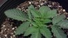 2012-08-10_12-56-47_87.jpg