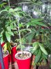 Party Grow 7 004.jpg