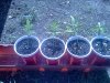 IMG_20120721_165922.jpg