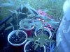 IMG_20120728_185730.jpg
