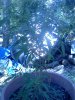 IMG_20120729_151809.jpg