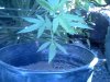 IMG_20120729_151628.jpg