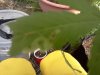 IMG_20120804_100312.jpg