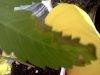 IMG_20120804_100329.jpg