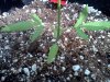 IMG_20120804_100413.jpg