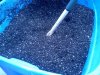 IMG_20120804_100524.jpg