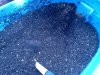 IMG_20120804_100542.jpg