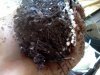 IMG_20120804_103346.jpg