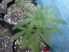 IMG_20120809_193941.jpg