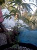 IMG_20120809_194019.jpg
