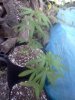 IMG_20120809_194031.jpg