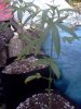 IMG_20120809_194040.jpg