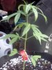 IMG_20120809_194608.jpg