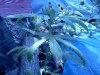 IMG_20120811_114459.jpg