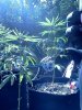 IMG_20120818_100604.jpg