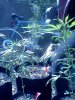 IMG_20120818_103602.jpg