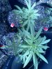 IMG_20120818_110255.jpg