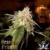 Reserva-Privada_ogkush.jpg