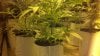 supersoilgrow 020.jpg