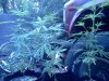 IMG_20120825_101817.jpg