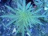 IMG_20120825_102038.jpg