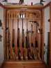 gun cabinet.JPG