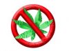 No weed sign.jpg