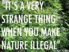 Nature_Illegal_zpsb4553e27.jpg