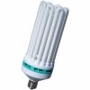 cfl bulb 200w.jpg