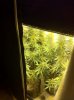 iPhone 9-20-12 011_cleaned.jpg