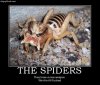 Spiders_zpseadd1626.jpg