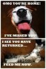 Dogs_Vs_Cats7880_zpse1a0fdd0.jpg